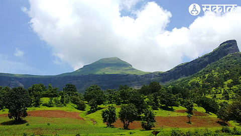 Bramhagiri