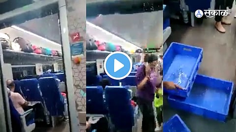 Viral Video 