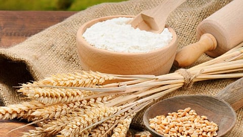 Refined Wheat Flour