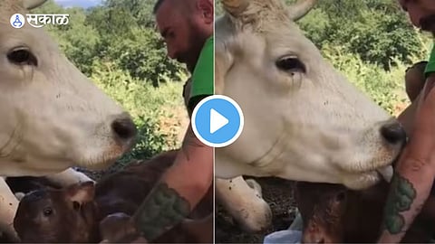 Viral Video