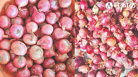 Indian & Pakistan Onion 