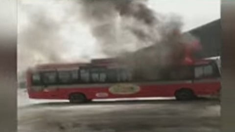 best bus