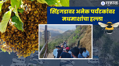  Sinhagad fort news 