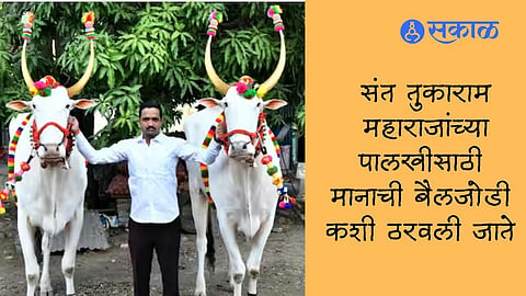 Ashadhi Wari 2023 