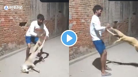 Video Viral 