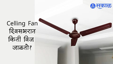 Ceiling Fan Facts