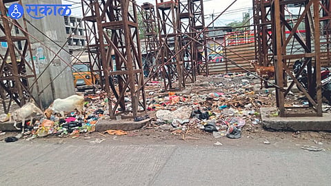 Garbage dumped under the flyover
