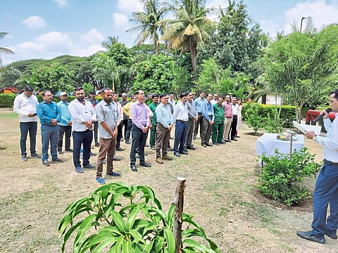 फिनोलेक्स कंपनीमध्ये
५० वृक्षांचे रोपण