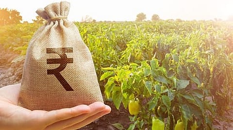 Pik Karj Yojana 
