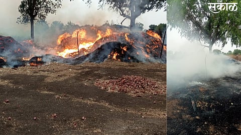 Fodder of animals consumed in fire caused by lightning