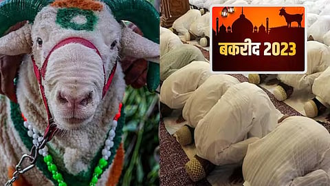 Bakara Eid 2023 