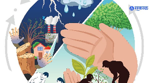 milind thatte writes tree Plantation forest cycle of nature