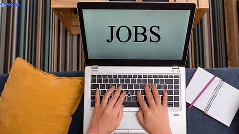 Job Opportunity