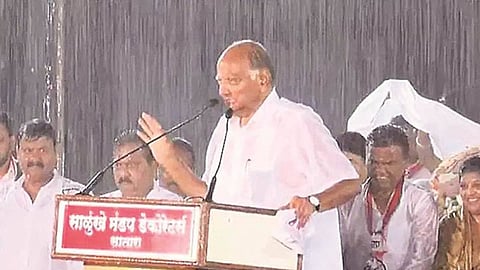 Sharad Pawar today visit Satara