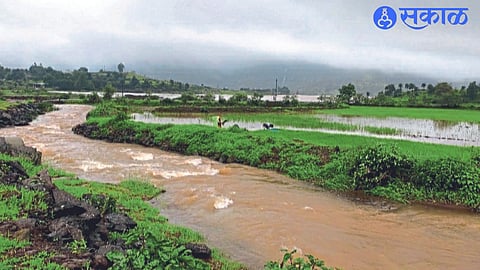 Due to heavy rainfall in the western belt of Igatpuri taluka and the catchment area of ​​the dams, the water in the Darna Dam is stagnating.