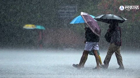 yavatmal heavy rain