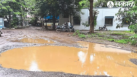 Mud Pond