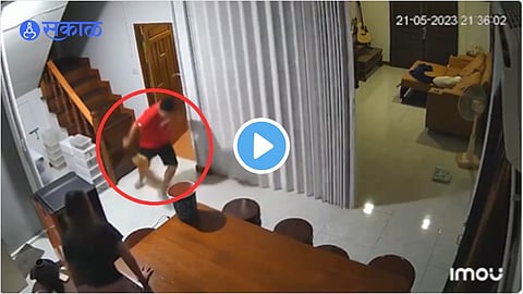 Cat Attack