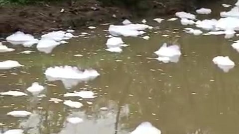 water pollution 