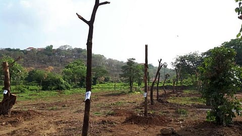 Mumbai 