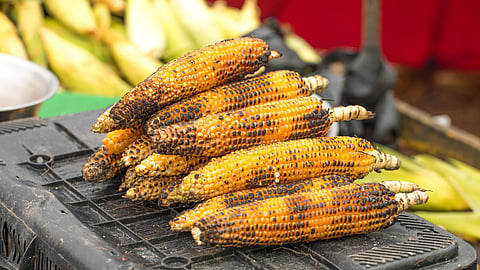 Monsoon Food