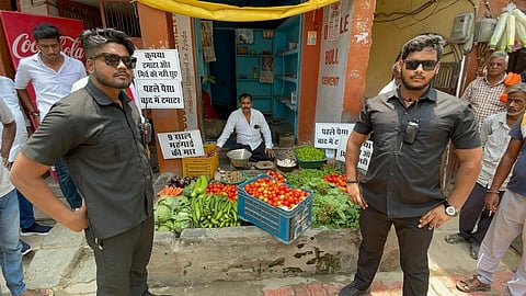 Bouncer For Tomato