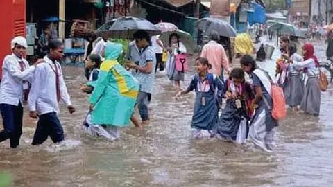 Raigad  Rain Update