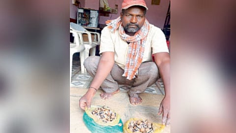 soybean farmer