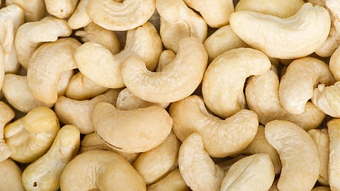 Cashew 