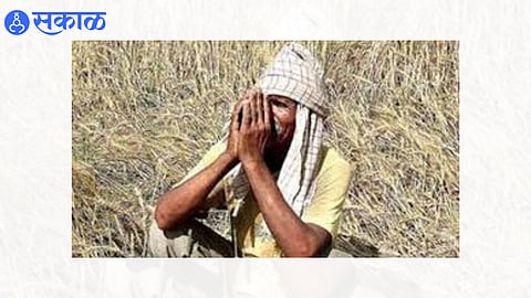 maharashtra krushi din farmers not getting proper help for farming  from govt nashik news