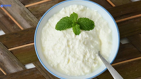 Curd Benefits For Health