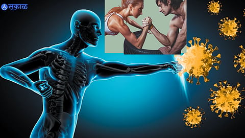 Immune System