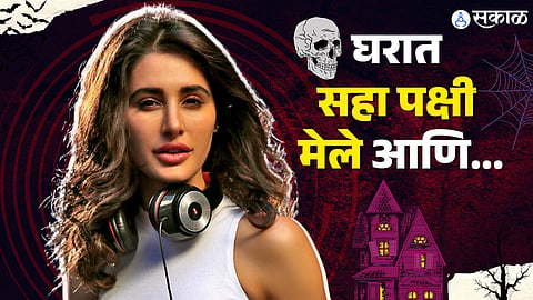Nargis Fakhri recalls living in a ‘haunted’ apartment in Mumbai bollywood news 