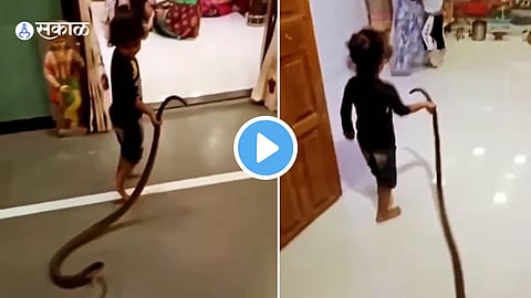 Video Viral