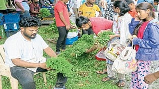 pune market