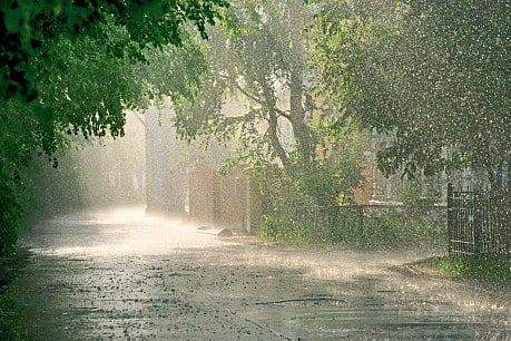 Mansoon Day