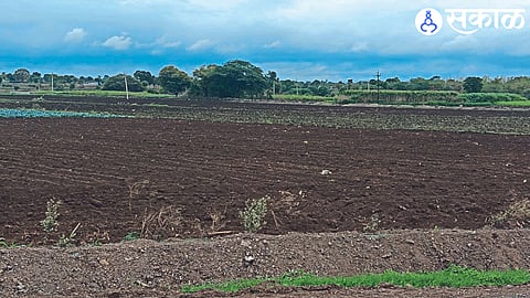 Due to lack of rain only 33 percent sowing was done in taluka nashik news 