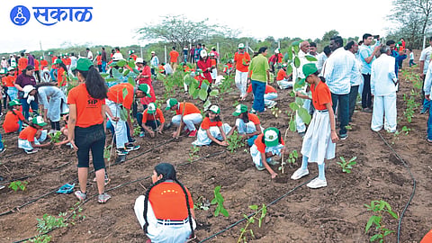 Volunteers, students and citizens participating in the tree plantation drive under the Miyawaki forestation Project 