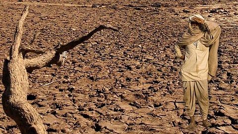 Vidarbha 