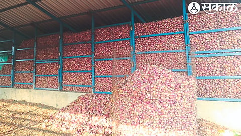 A farmer from Khuntewadi (T. Deola) stuffed onion.