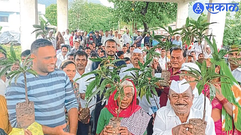 Retired village Prof. Namdev Sable and Popat Palvi gifting saffron mango saplings to the villagers.
