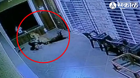 Laopard caught in CCTV
