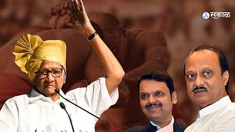 Sharad Pawar, devendra Fadnavis 