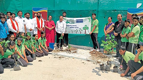 sakal green day tree plantation school environment conservation akola