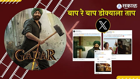 Gadar 2 Box Office Collection Day 8:

Gadar 2 box office day 8 collection Directed by Anil Sharma Sunny Deol and Ameesha Patel's film enters ₹300 crore club 