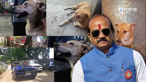 MNS Vansant More will hold condolence meeting at Goodluck Chowk pune for dog named Don killed by  lamborghini car  