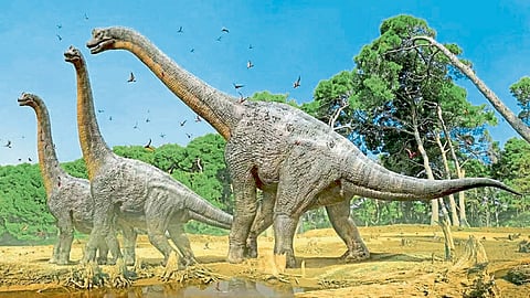 Dinosaur