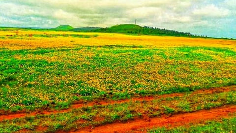Kaas Pathar Satara