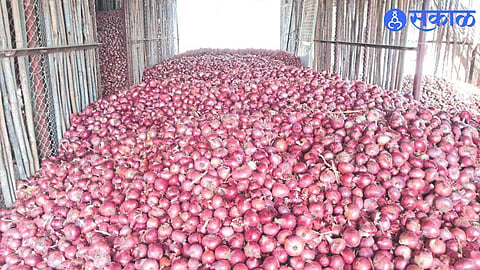 only 234 crores of onion subsidy was received by farmer nashik news