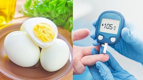 Egg